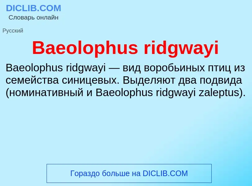 Τι είναι Baeolophus ridgwayi - ορισμός