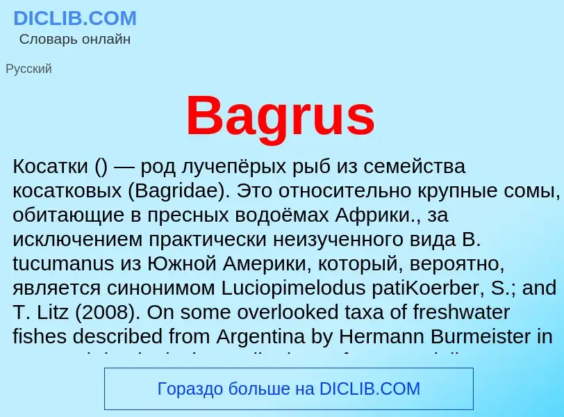 Was ist Bagrus - Definition