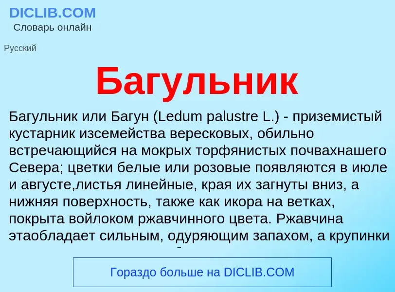 Wat is Багульник - definition