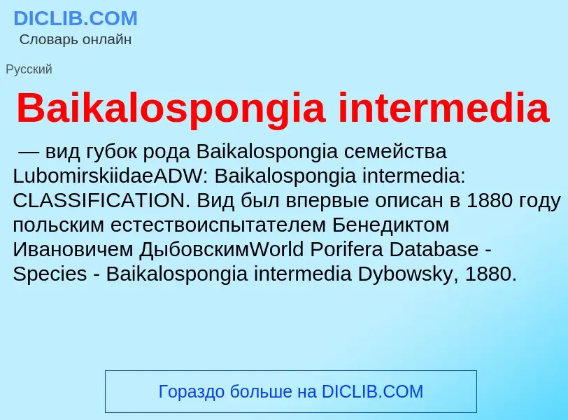 Was ist Baikalospongia intermedia - Definition