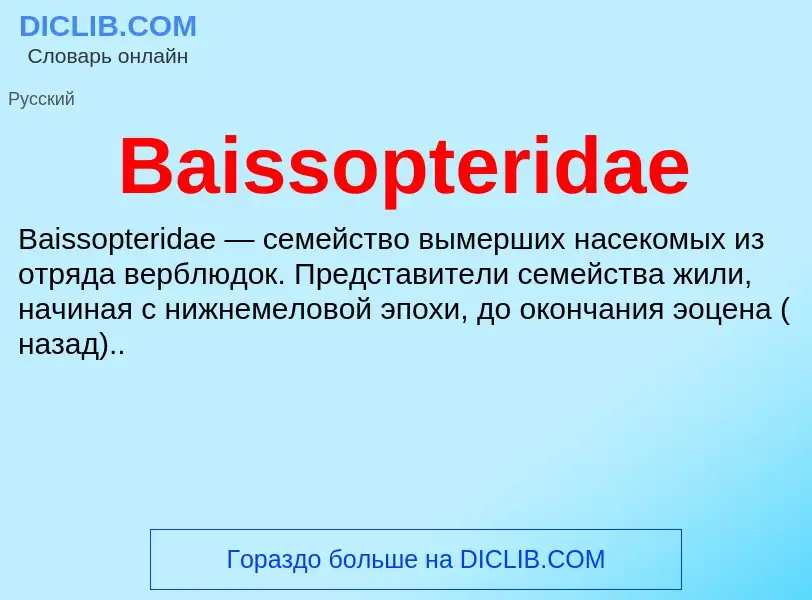 Was ist Baissopteridae - Definition