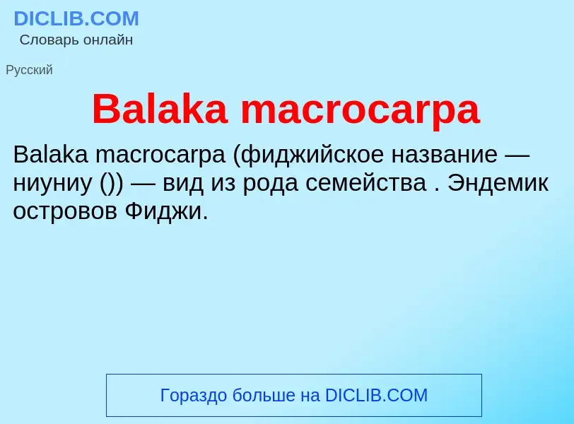 Τι είναι Balaka macrocarpa - ορισμός