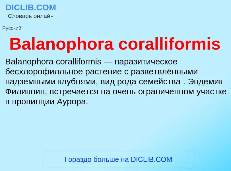 Τι είναι Balanophora coralliformis - ορισμός