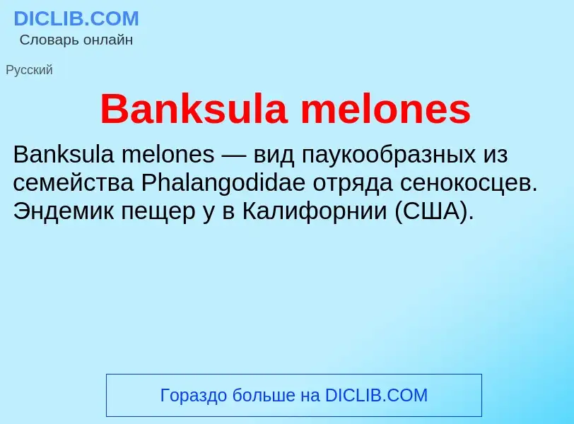 Τι είναι Banksula melones - ορισμός