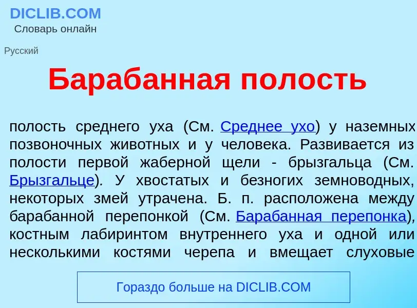 Wat is Бараб<font color="red">а</font>нная п<font color="red">о</font>лость - definition