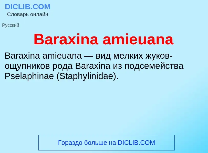 ¿Qué es Baraxina amieuana? - significado y definición