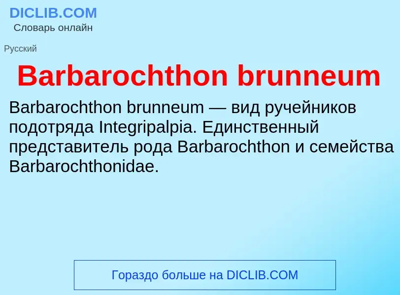 ¿Qué es Barbarochthon brunneum? - significado y definición