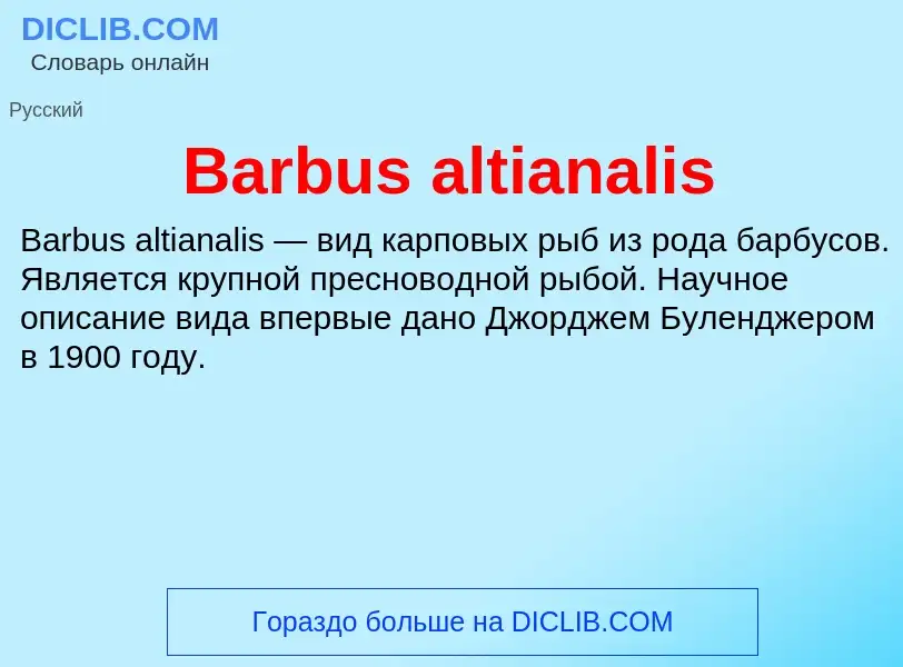 ¿Qué es Barbus altianalis? - significado y definición