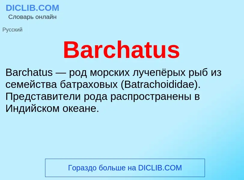 Τι είναι Barchatus - ορισμός