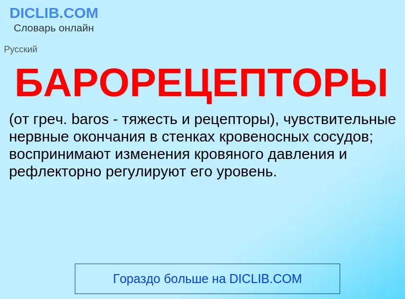 Что такое БАРОРЕЦЕПТОРЫ - определение