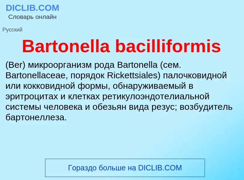 Τι είναι Bartonella bacilliformis  - ορισμός