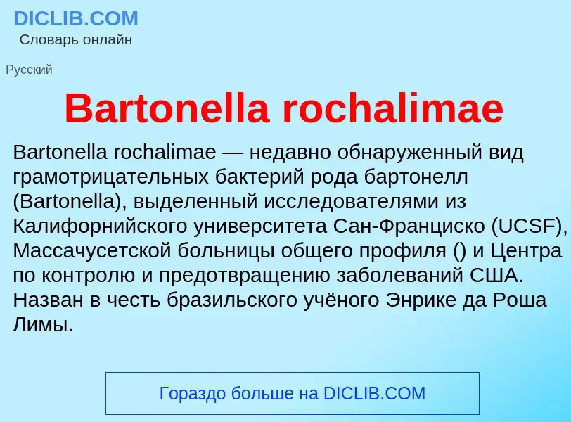 Τι είναι Bartonella rochalimae - ορισμός