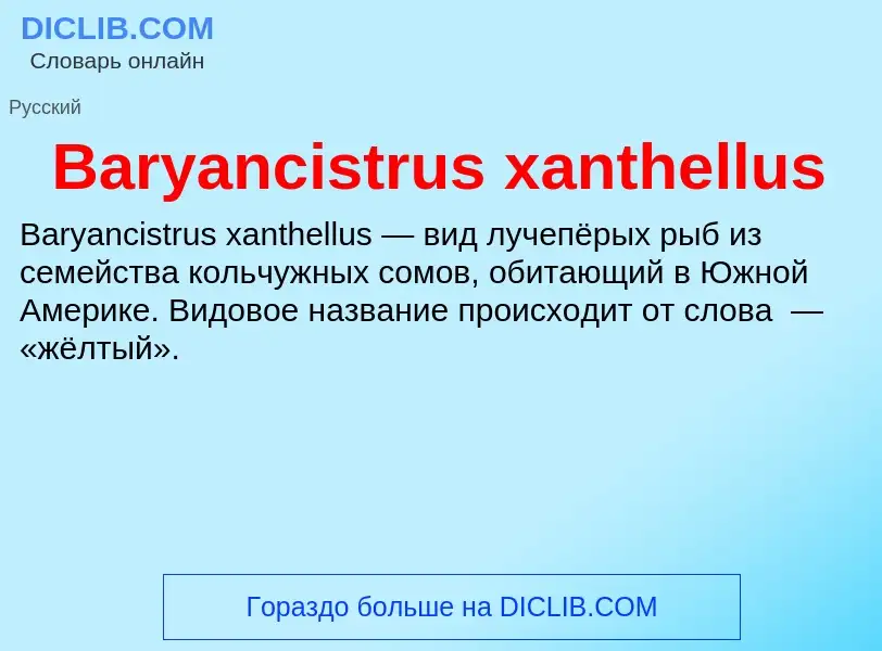 Τι είναι Baryancistrus xanthellus - ορισμός