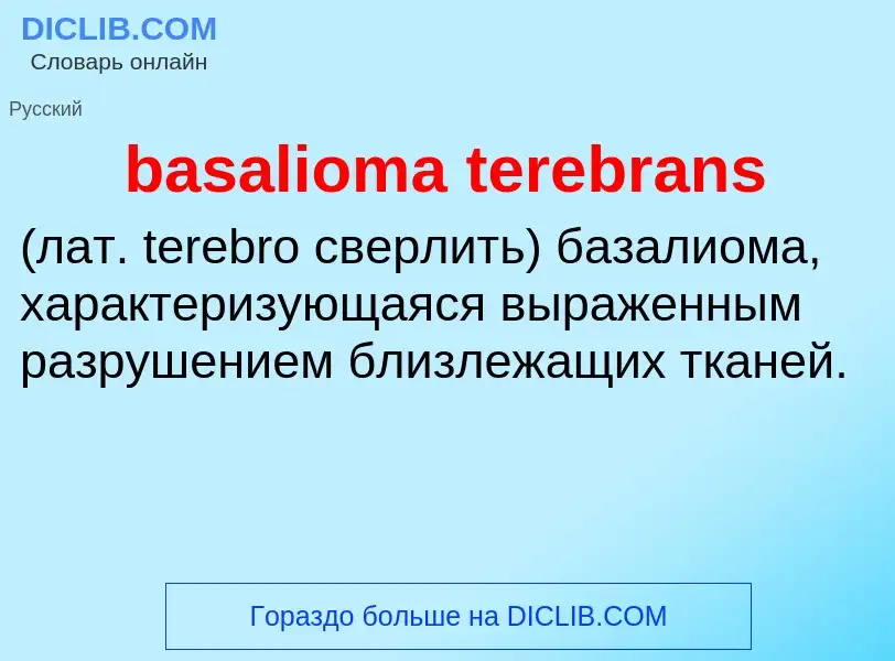 Che cos'è basalioma terebrans  - definizione