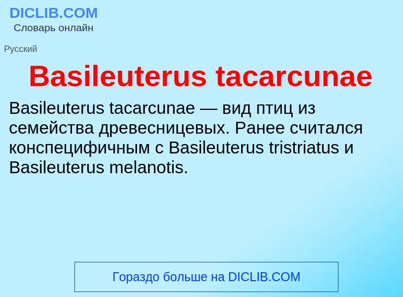 Τι είναι Basileuterus tacarcunae - ορισμός