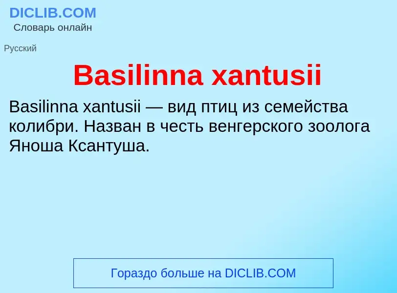 Τι είναι Basilinna xantusii - ορισμός