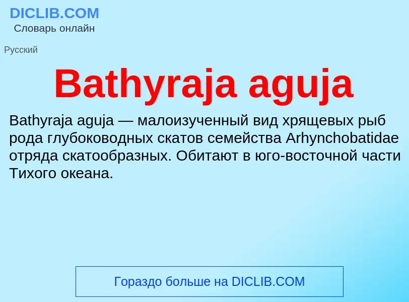 Τι είναι Bathyraja aguja - ορισμός