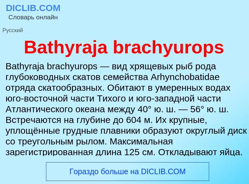 ¿Qué es Bathyraja brachyurops? - significado y definición