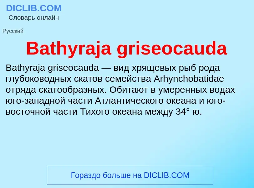 Τι είναι Bathyraja griseocauda - ορισμός