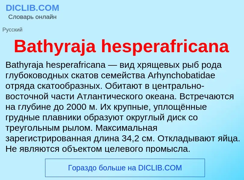 Τι είναι Bathyraja hesperafricana - ορισμός