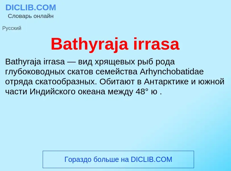 Τι είναι Bathyraja irrasa - ορισμός