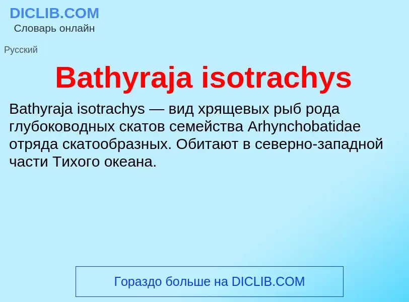 Τι είναι Bathyraja isotrachys - ορισμός