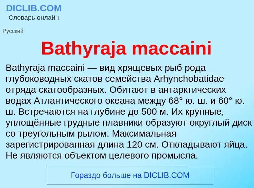 Τι είναι Bathyraja maccaini - ορισμός