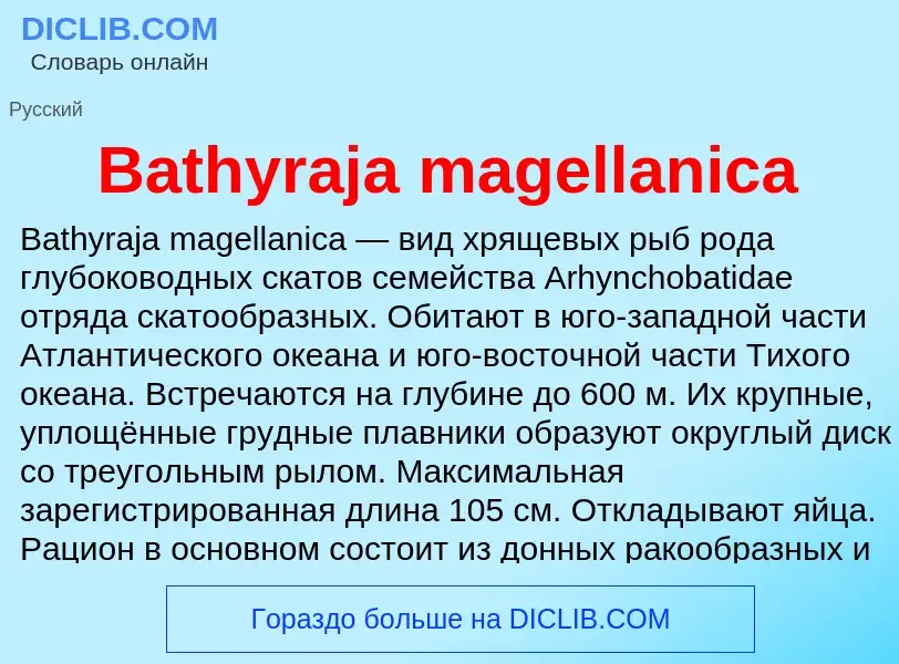 Τι είναι Bathyraja magellanica - ορισμός