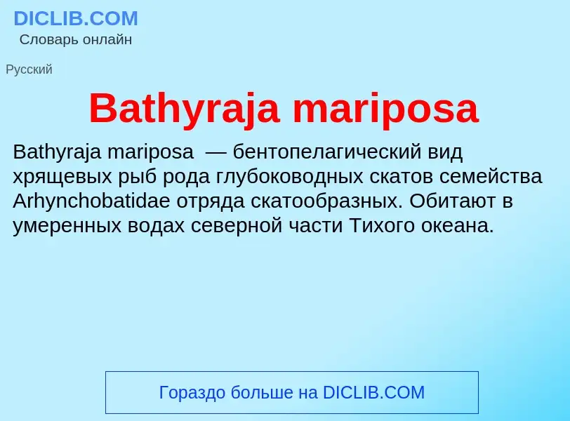 Τι είναι Bathyraja mariposa - ορισμός