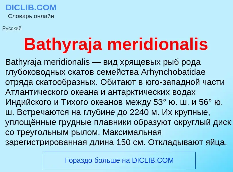 Τι είναι Bathyraja meridionalis - ορισμός