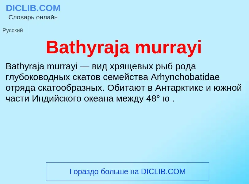 Τι είναι Bathyraja murrayi - ορισμός