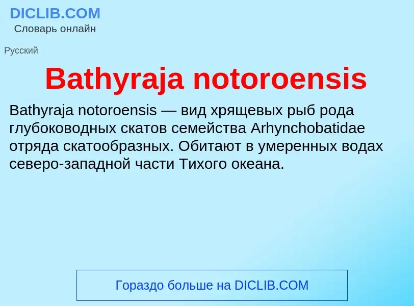 Τι είναι Bathyraja notoroensis - ορισμός