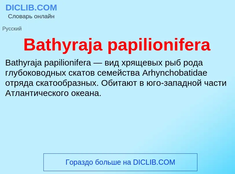 Τι είναι Bathyraja papilionifera - ορισμός