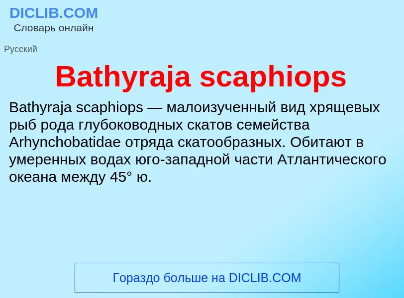 Τι είναι Bathyraja scaphiops - ορισμός