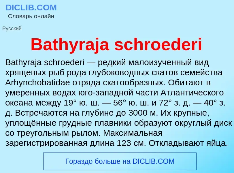 Τι είναι Bathyraja schroederi - ορισμός