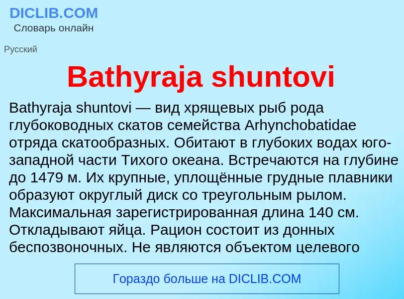 Τι είναι Bathyraja shuntovi - ορισμός