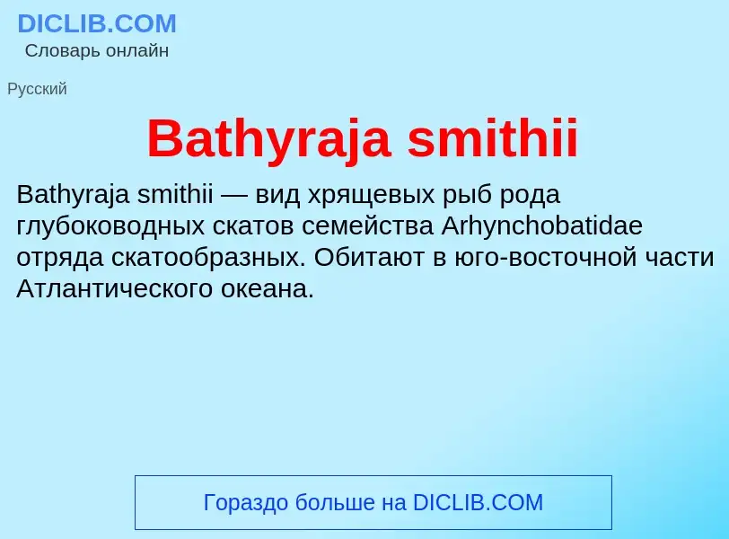 Τι είναι Bathyraja smithii - ορισμός