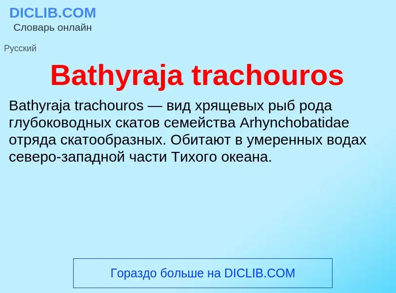 Τι είναι Bathyraja trachouros - ορισμός