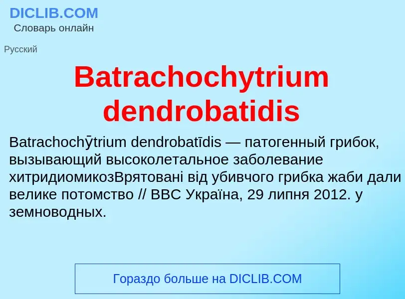 Τι είναι Batrachochytrium dendrobatidis - ορισμός