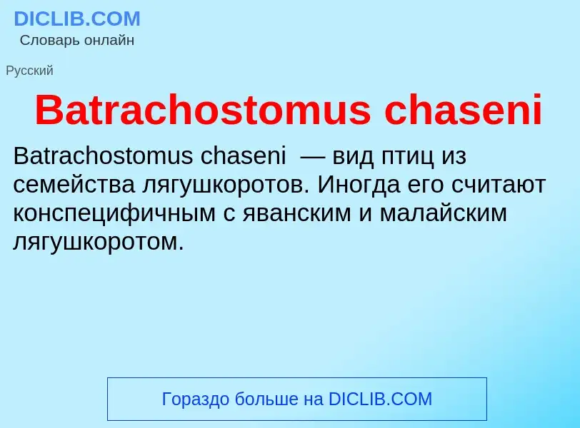 Τι είναι Batrachostomus chaseni - ορισμός