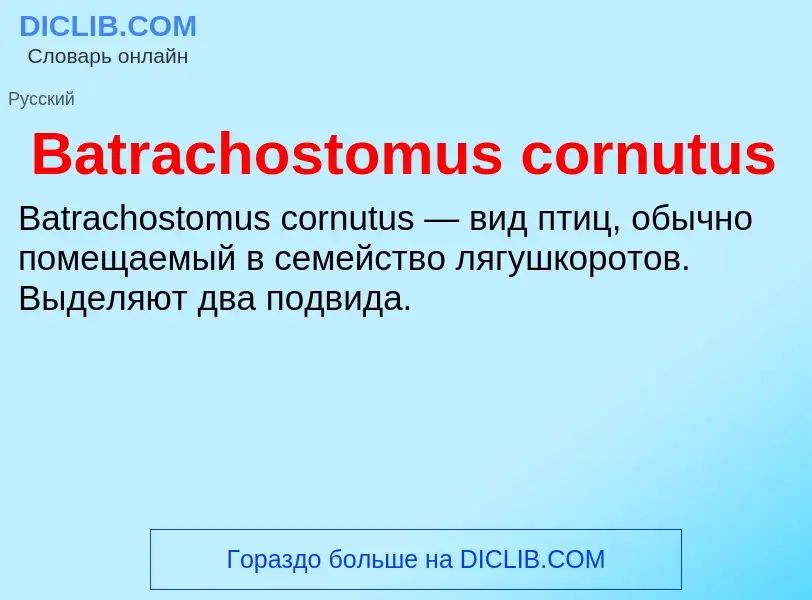 Τι είναι Batrachostomus cornutus - ορισμός