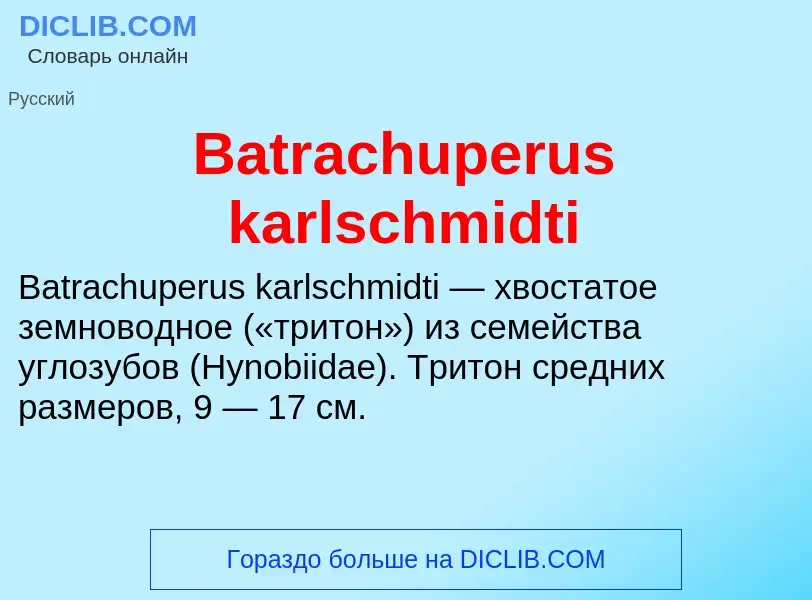 Τι είναι Batrachuperus karlschmidti - ορισμός