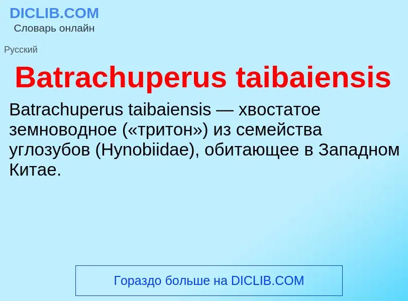 Τι είναι Batrachuperus taibaiensis - ορισμός