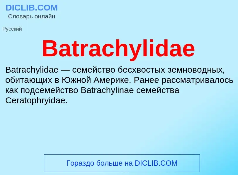 Τι είναι Batrachylidae - ορισμός