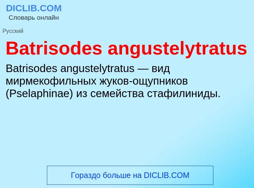 Τι είναι Batrisodes angustelytratus - ορισμός