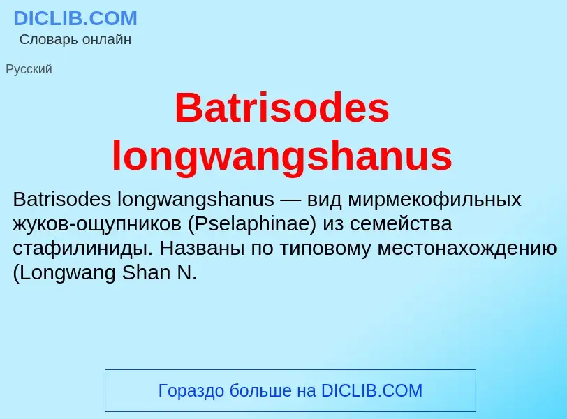 Τι είναι Batrisodes longwangshanus - ορισμός