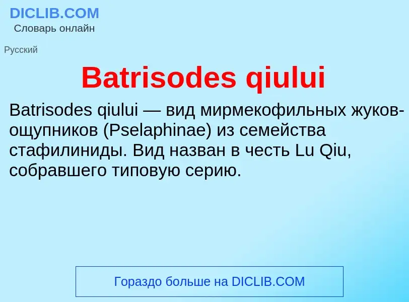 Τι είναι Batrisodes qiului - ορισμός