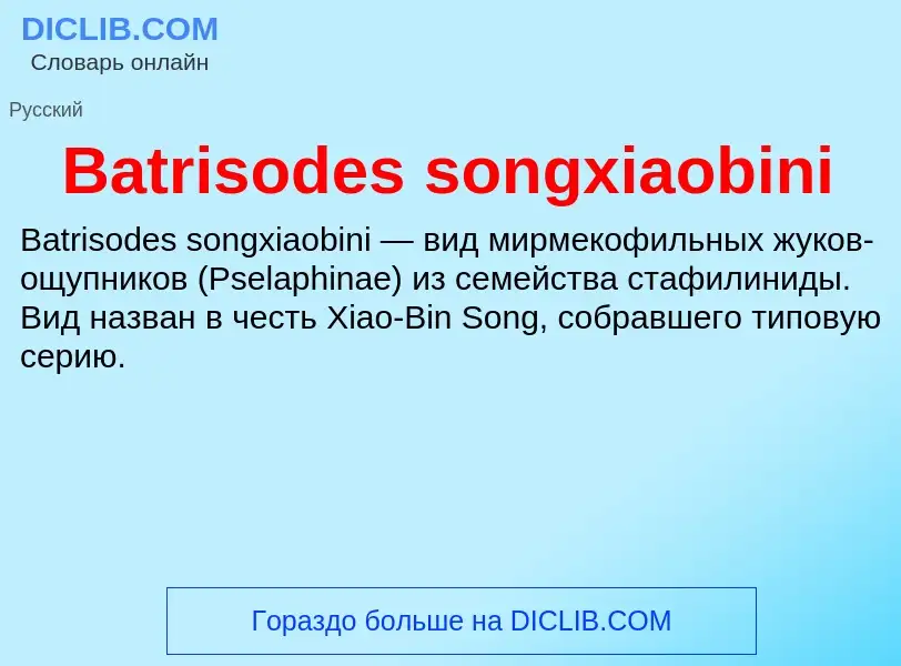 ¿Qué es Batrisodes songxiaobini? - significado y definición