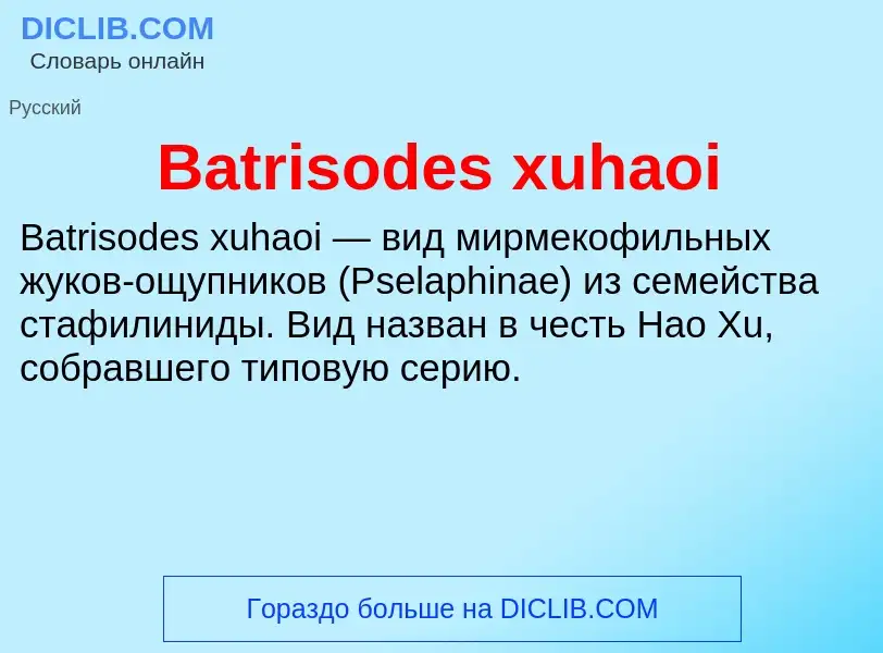 Τι είναι Batrisodes xuhaoi - ορισμός