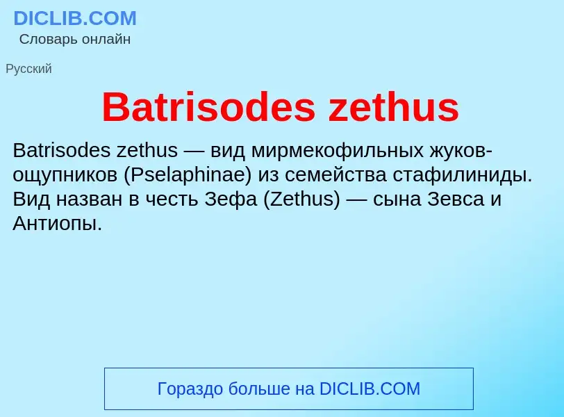 Τι είναι Batrisodes zethus - ορισμός